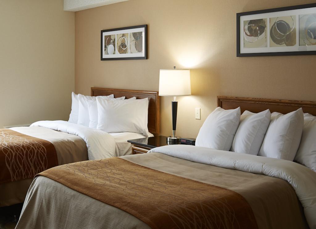 Comfort East Inn 3*
