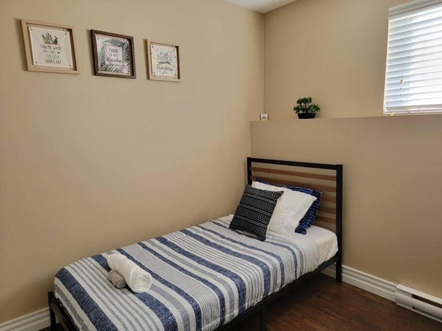 Apartment Cozy Basement In The Moncton