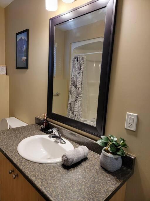 Apartment Cozy Basement In The
