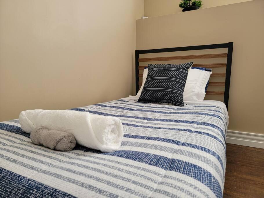 Cozy Basement In The