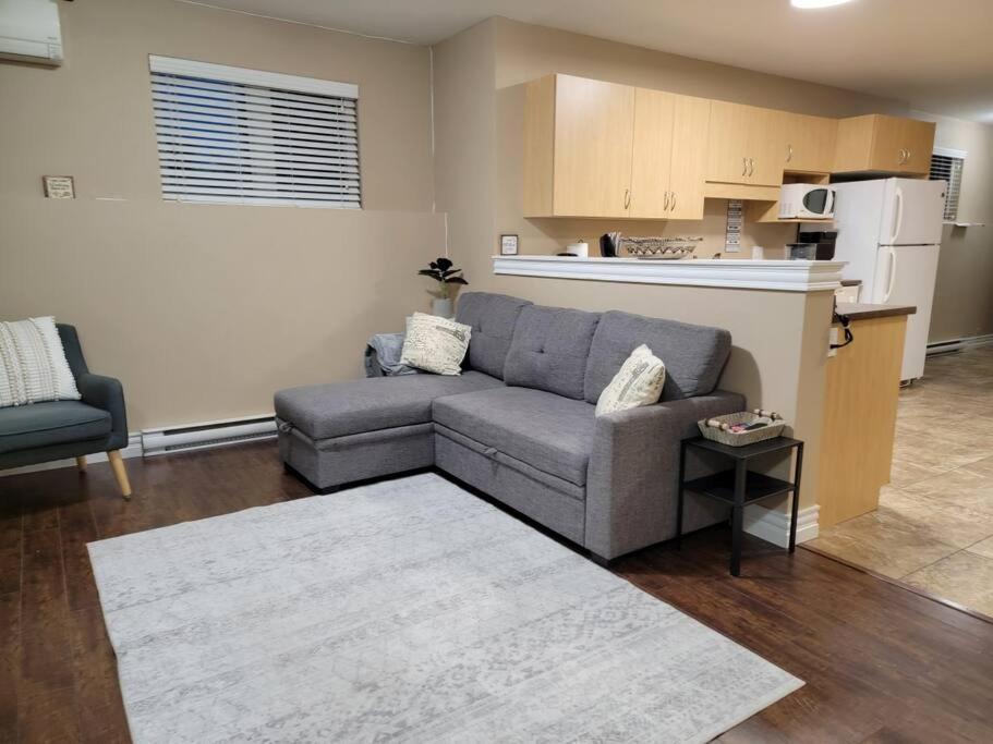 Cozy Basement In The Apartment
