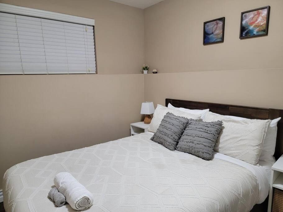 Cozy Basement In The *