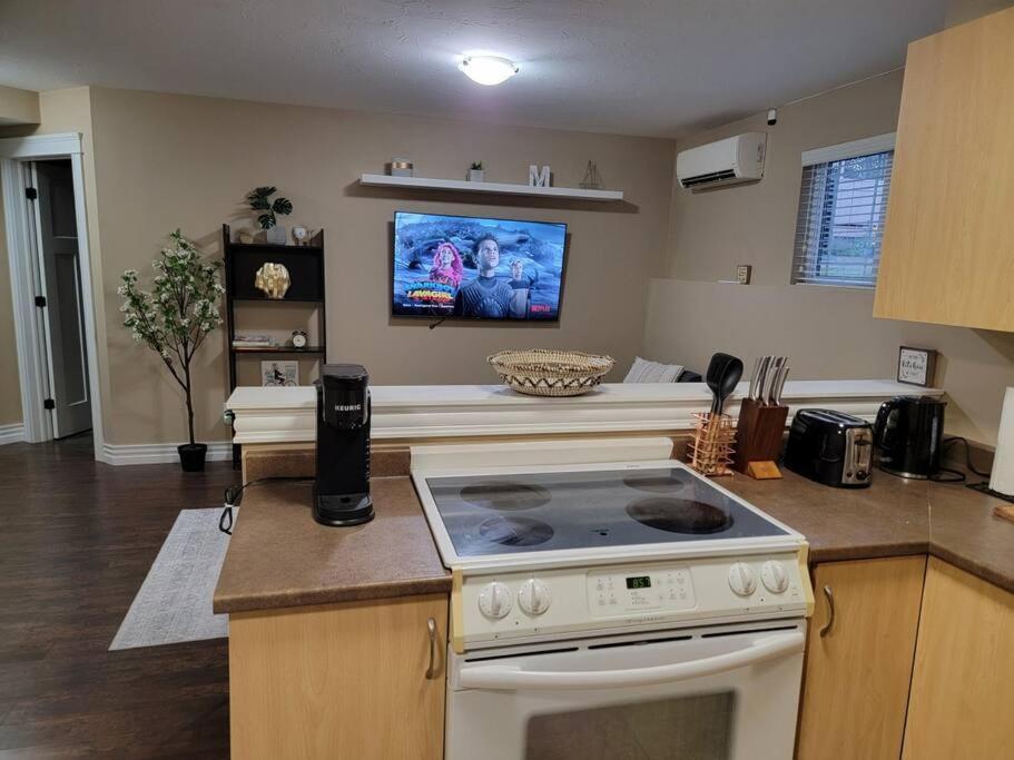 Apartment Cozy Basement In The