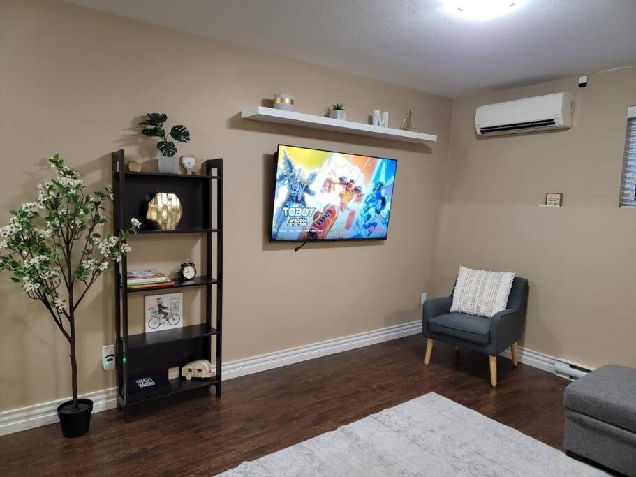 Cozy Basement In The