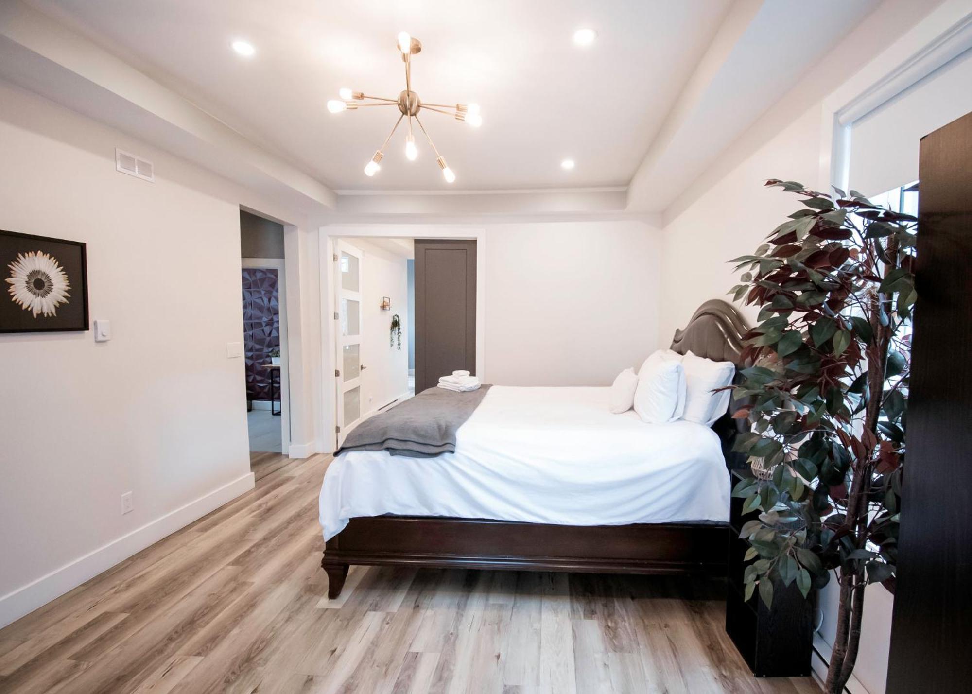 Apartment Cozy One Bedroom Apartment- Downtown *