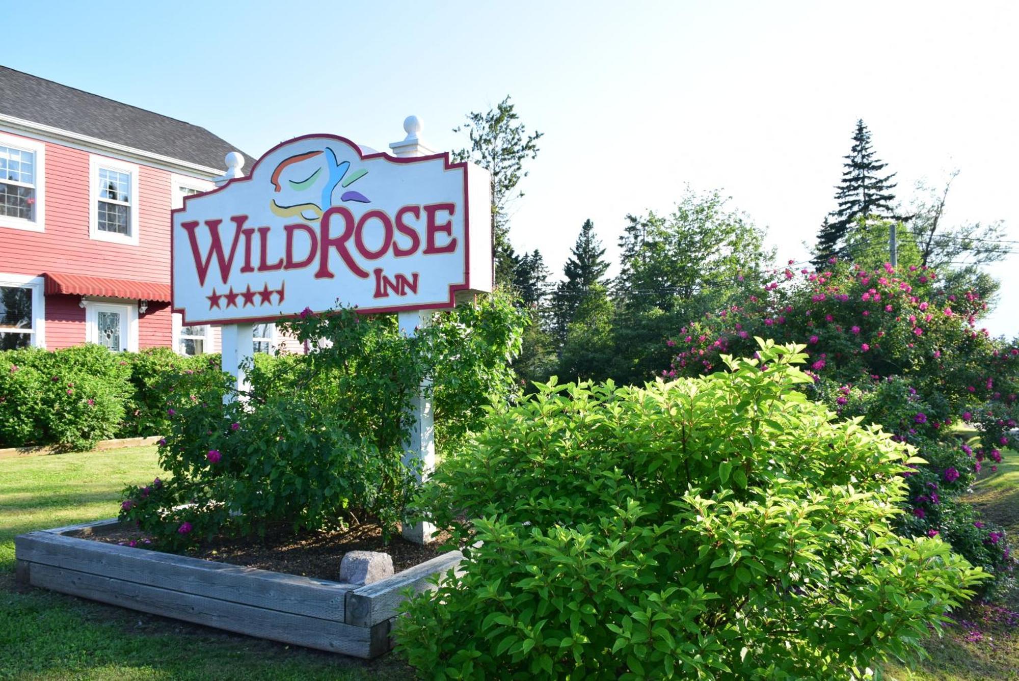 Hotel Wild Rose 4*